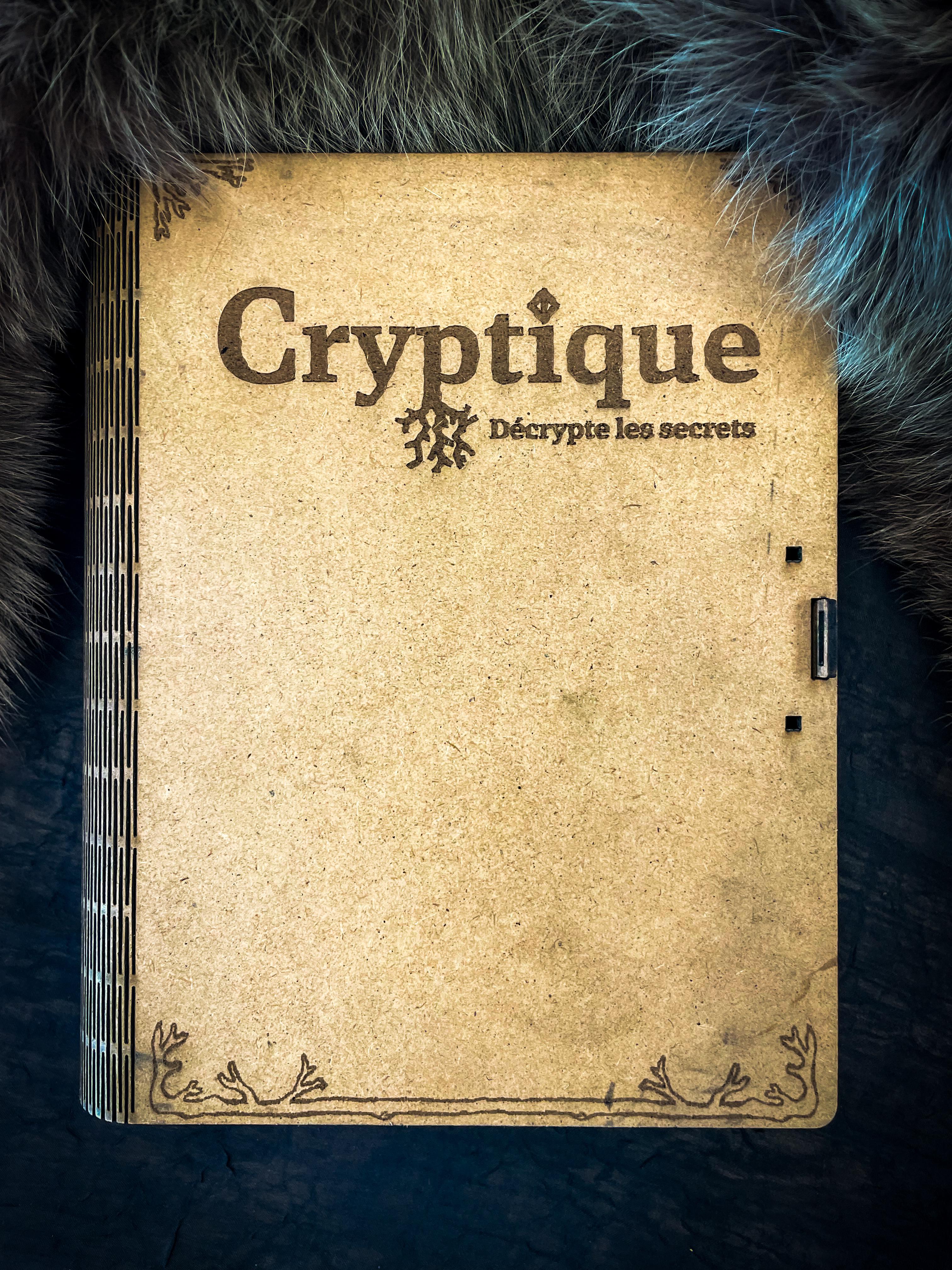 Cryptique Deluxe - Image 1